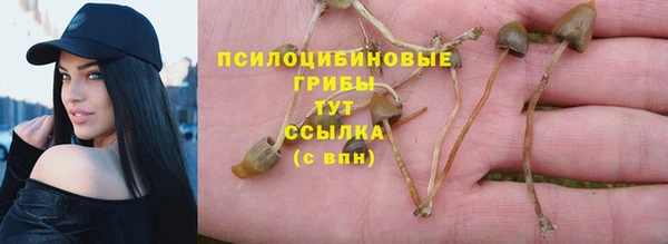 мяу мяу мука Михайлов
