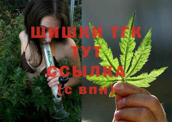 мяу мяу мука Михайлов