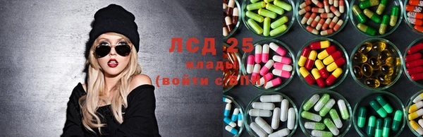 PSILOCYBIN Михайловка
