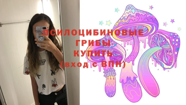 PSILOCYBIN Михайловка