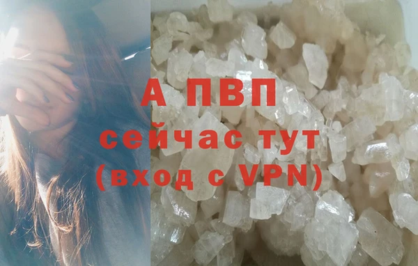 дживик Медногорск