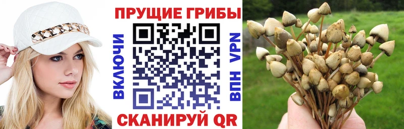 Псилоцибиновые грибы MAGIC MUSHROOMS  hydra онион  Старая Русса 