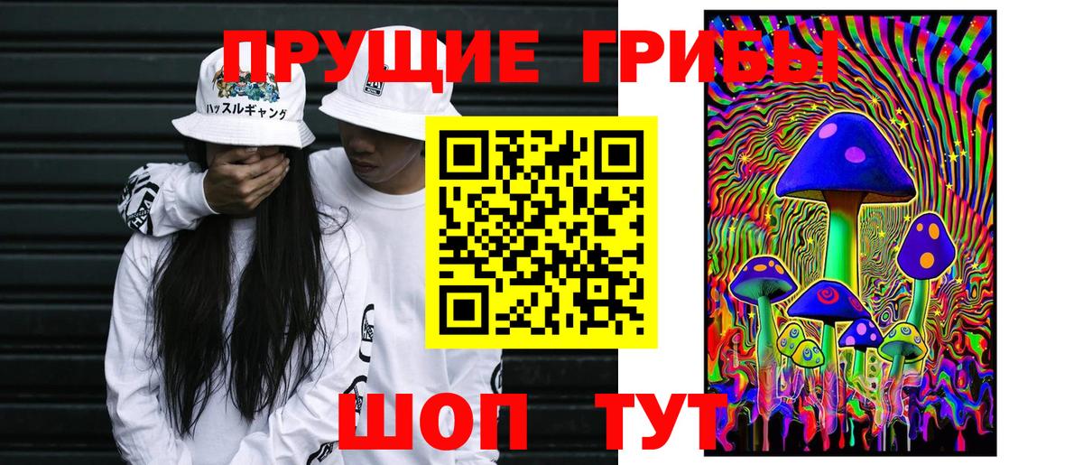 Галлюциногенные грибы Cubensis Старая Русса